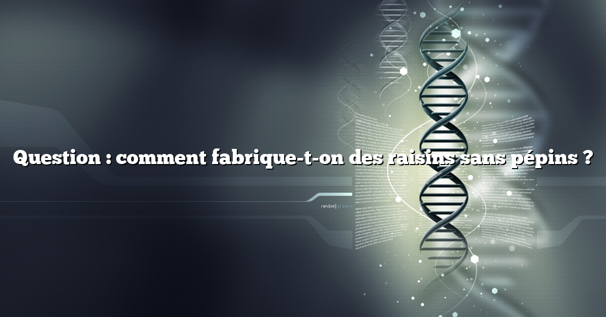 Question : comment fabrique-t-on des raisins sans pépins ?